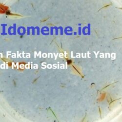 111.90 l.150.204 nonton Archives - Indonesia Meme